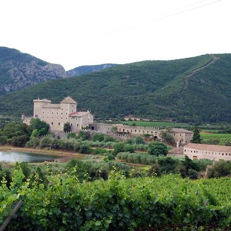 Castell De Riudabella Apartment Vimbodi I Poblet ภายนอก รูปภาพ