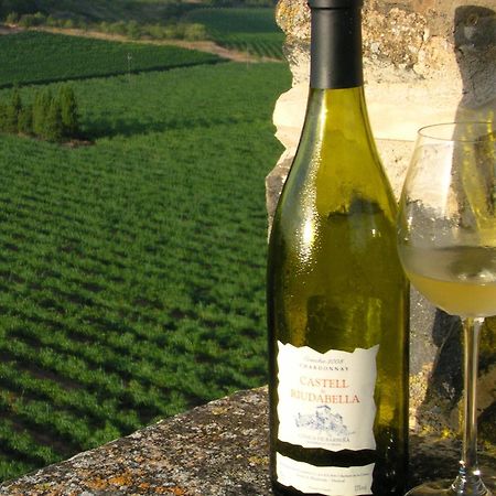 Castell De Riudabella Apartment Vimbodi I Poblet ภายนอก รูปภาพ