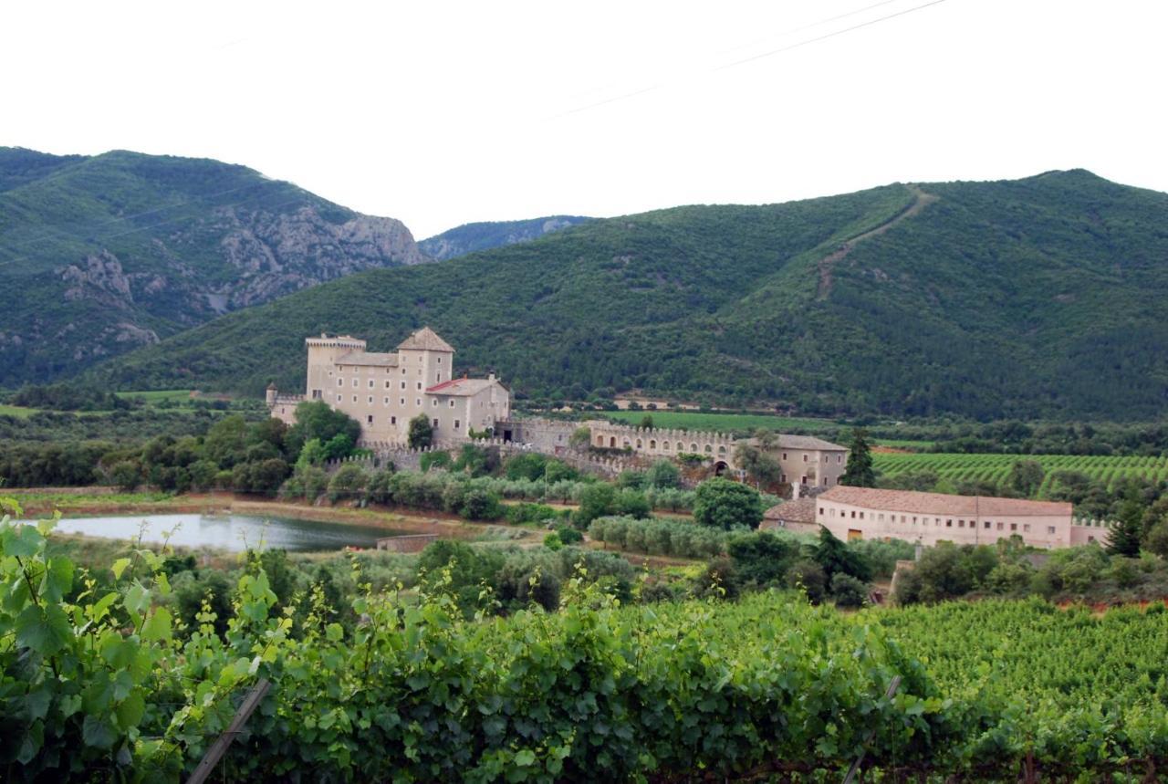 Castell De Riudabella Apartment Vimbodi I Poblet ภายนอก รูปภาพ
