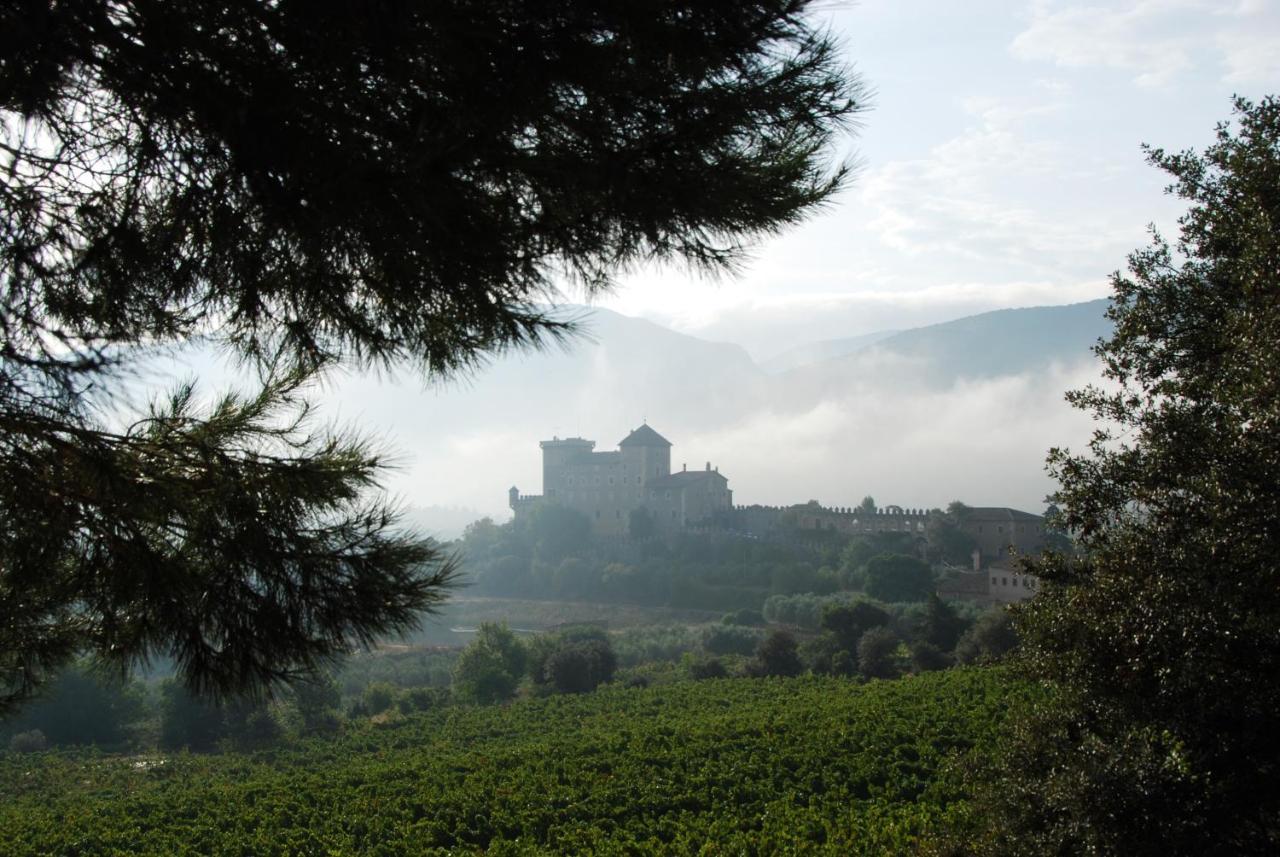 Castell De Riudabella Apartment Vimbodi I Poblet ภายนอก รูปภาพ