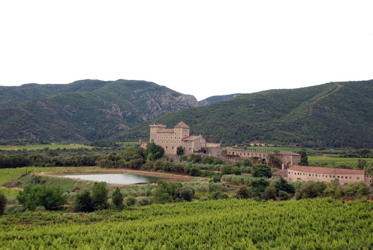 Castell De Riudabella Apartment Vimbodi I Poblet ภายนอก รูปภาพ
