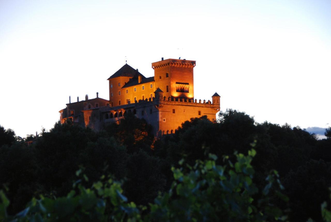 Castell De Riudabella Apartment Vimbodi I Poblet ภายนอก รูปภาพ