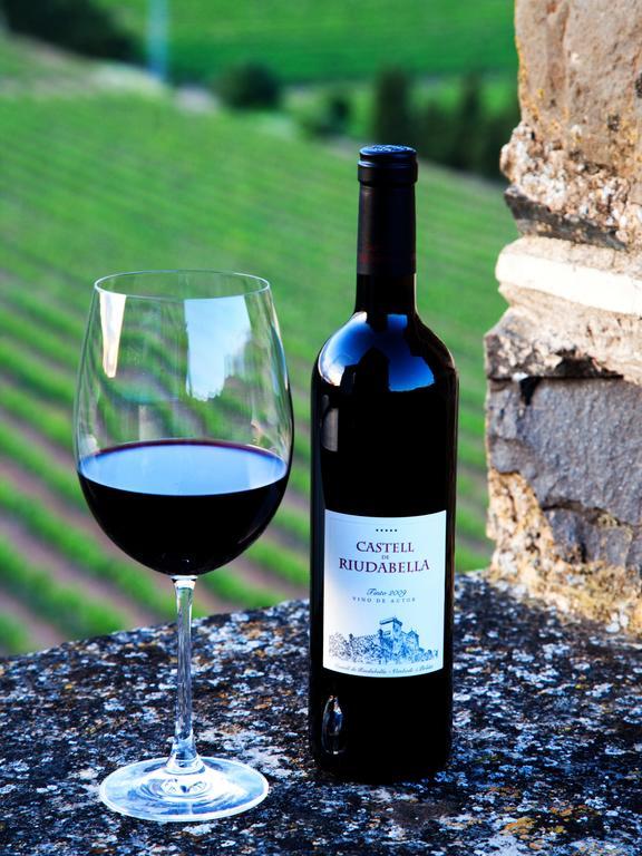 Castell De Riudabella Apartment Vimbodi I Poblet ภายนอก รูปภาพ
