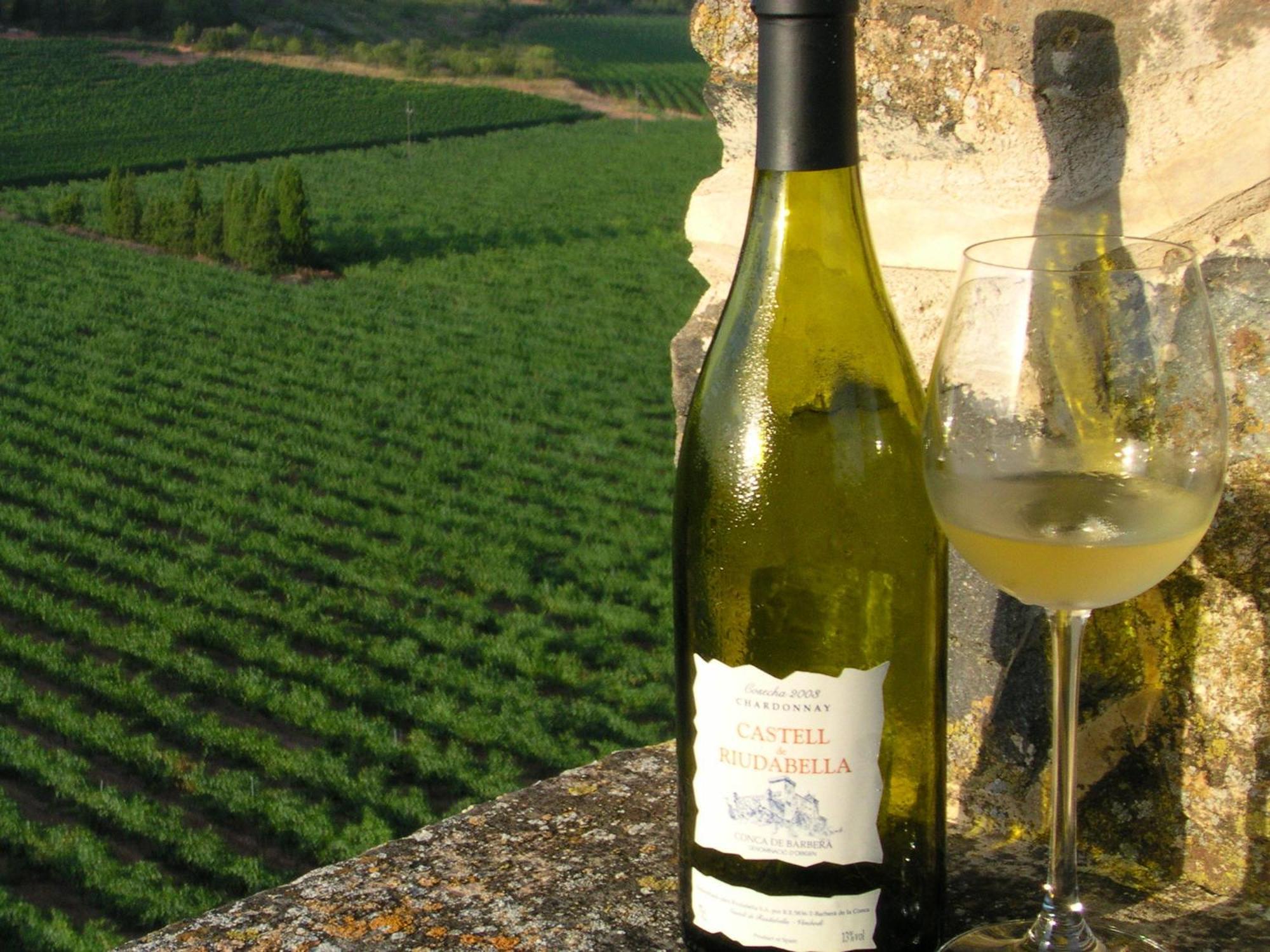 Castell De Riudabella Apartment Vimbodi I Poblet ภายนอก รูปภาพ