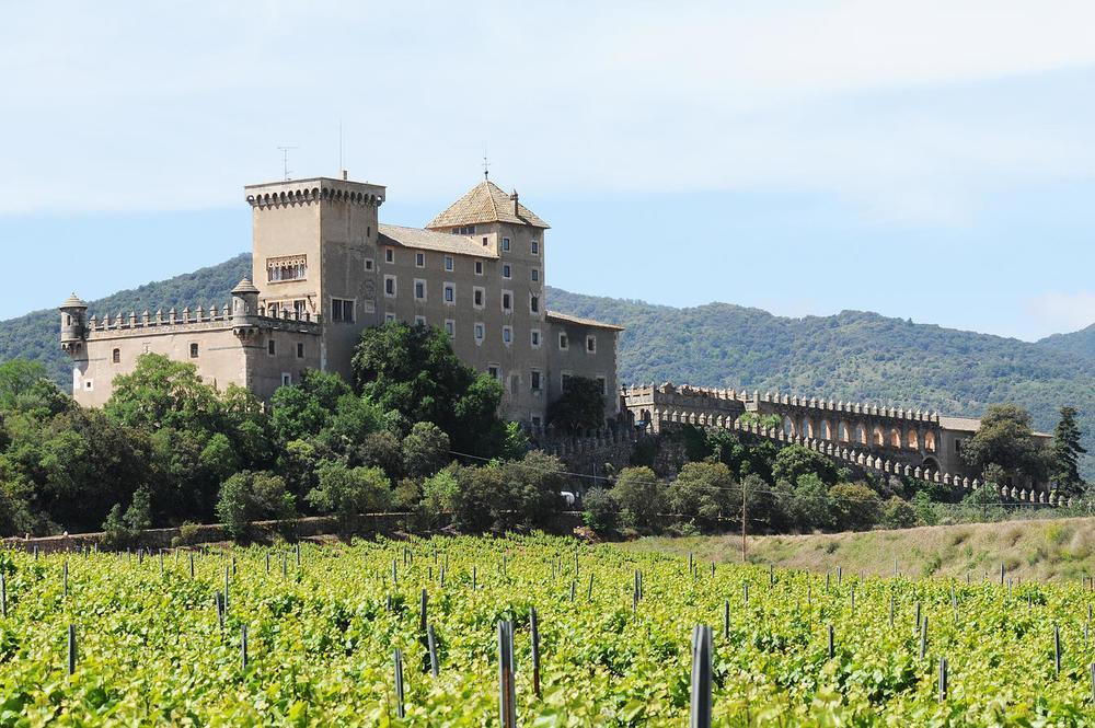 Castell De Riudabella Apartment Vimbodi I Poblet ภายนอก รูปภาพ