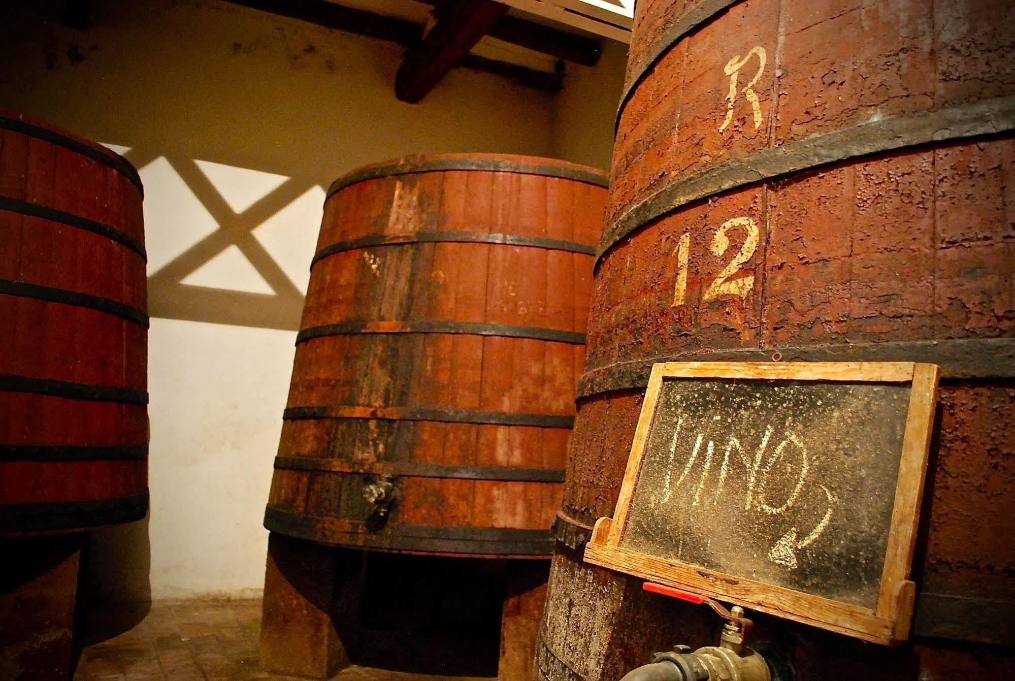 Castell De Riudabella Apartment Vimbodi I Poblet ภายนอก รูปภาพ